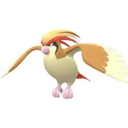 pidgeot serebii